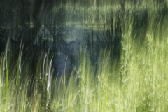 Lars L - ICM Rønnebæksholm