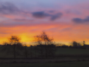 Lars J PXL_20250128_065413712.RAW-02.ORIGINAL