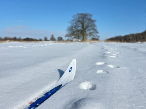 Lars L - Holmegaard på ski