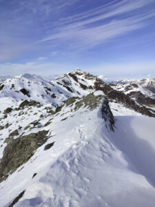 Lily V - På kanten af horisonten