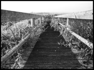 Torben udstilling 2 30 x 40